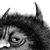 Seme Vitelli's profile image