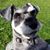 Amber Smith-Rojo's profile image