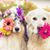 Barb Mannell Wallace's profile image