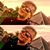 Aaron Mc Donnell's profile image