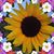 Kris Danielle's profile image