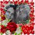 Lisa Watkins Starkey's profile image