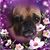Peggy Rouzzo's profile image