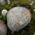 Ellen Satrom's profile image