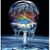 Terri Zoffer's profile image