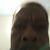 Steven Moore's profile image