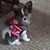 Kathleen Knox Boccardi's profile image
