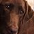 Wesley Scott Smith's profile image