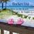 Pam Garr's profile image
