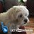 Susan Billings's profile image