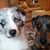 Kathy Dorr's profile image