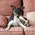 Lou Ann Holman Cowan's profile image