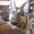 Wilma Manzi Kuzmunich's profile image