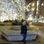 Maricarmen Jimenez's profile image