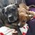 Ann Marie Dorizio's profile image
