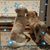 Susan Harper's profile image