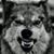 Damian Redwolf Rojas's profile image
