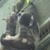 Andrew Lizotte's profile image