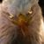 Larry Mahon's profile image