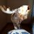 Greg Felzer's profile image