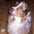 Kerry Lynn Pranica's profile image