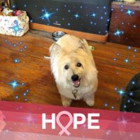 Cindy Seymour's profile image