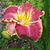 Eileen Dustin's profile image