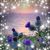 Dawn Conine's profile image
