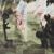 Cesar Munoz's profile image