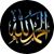 Mohamed Amin's profile image