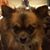 Leslie Kiracofe Lind's profile image