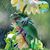 Mary Lou Taylor's profile image