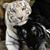 Ruby Stilson's profile image