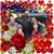 Kathy K Koch's profile image