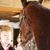Beverly Bochetto's profile image