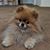 Chris Leavitt Cassy's profile image