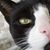 Sandra Shoupe-Gorga's profile image
