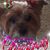Susan Munger's profile image