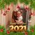 Cindy Knapp's profile image
