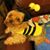 Marilyn Galloway's profile image