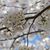 Lori E. Chapin's profile image