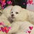 Lynn Berry's profile image
