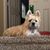 Tracy McQuitty Uhrig's profile image