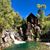 Kathy Knepp's profile image