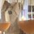 Barbara Wenemoser's profile image