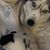 Sherry Schleimer's profile image