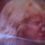 Mary Branham's profile image