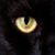 Renee Mathis's profile image