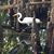 Linda Dancy Robinette's profile image