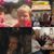 Lois Carlson Gittins's profile image